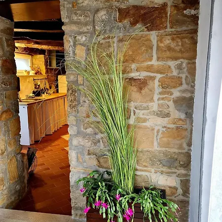 别墅 Casa Villanova Romance *